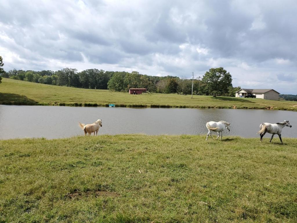 Secluded House On 60 Acres Close To Fall Creek Falls Pikeville 외부 사진